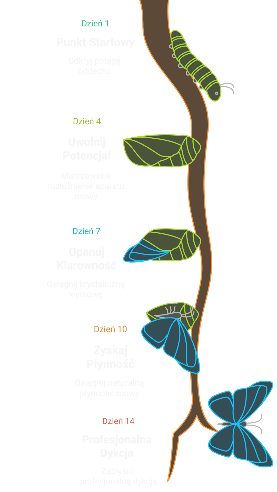 Transformacja dykcji w 14 dni