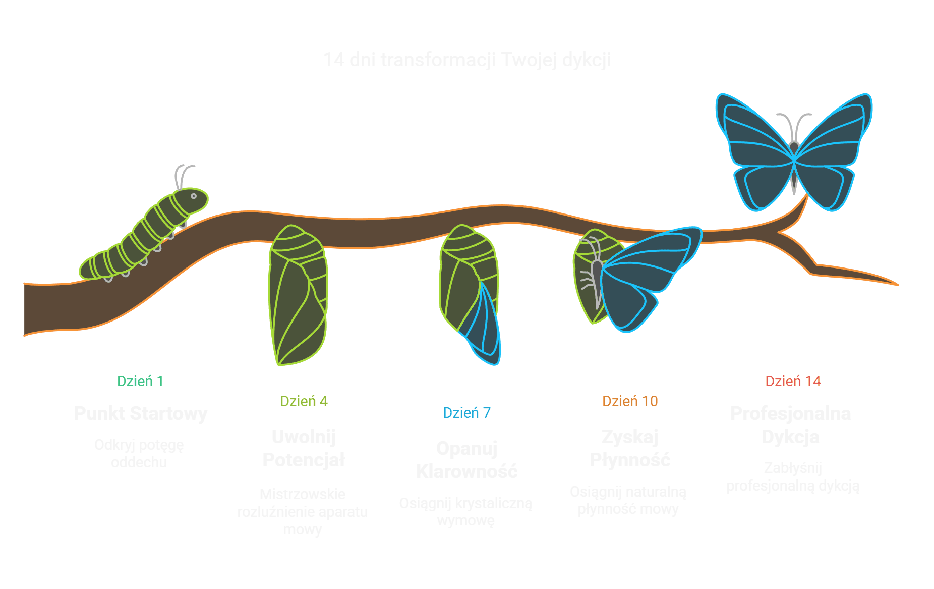 Transformacja dykcji w 14 dni